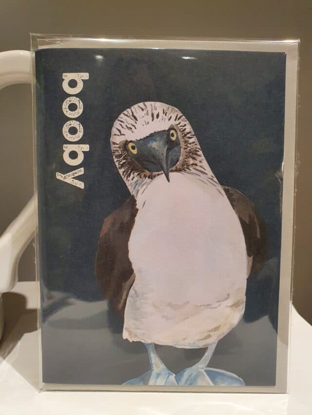 Booby