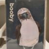 Booby