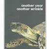 'Another Year, Another Wrinkle' Quirky Birthday Card - Birthday Greetings