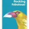 'Flocking Fabulous' Quirky Birthday Card - Birthday Greetings