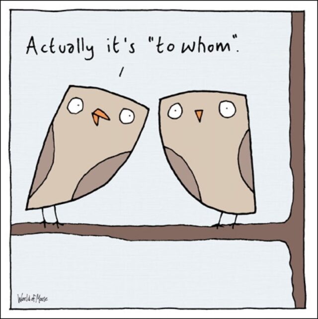 Owls