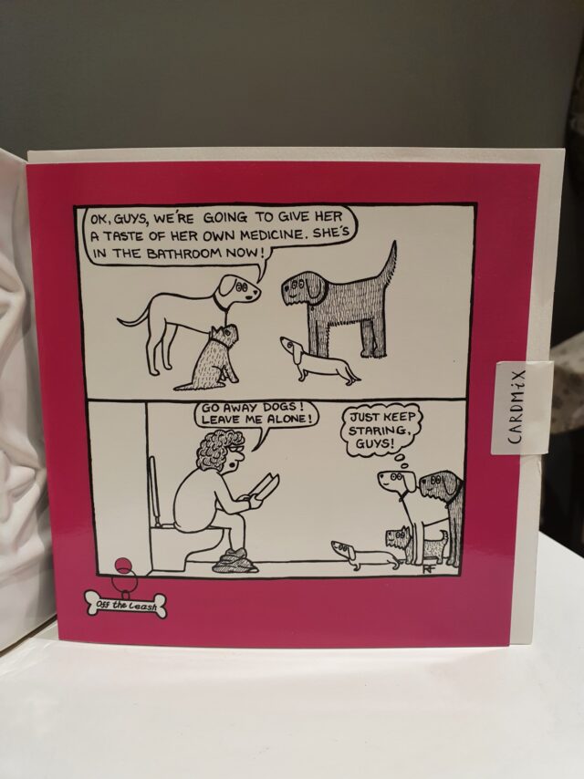 Keep Staring Doggy Humour Cards