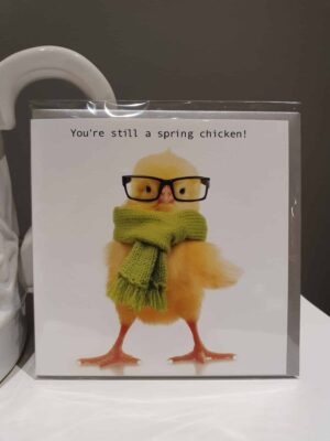 spring chicken greetings cards birthday
