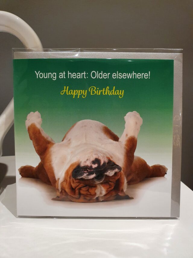 birthday card humour bulldog