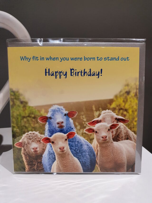 stand out blue sheep greetings card birthday