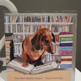 Next Chapter birthday card sausage dog