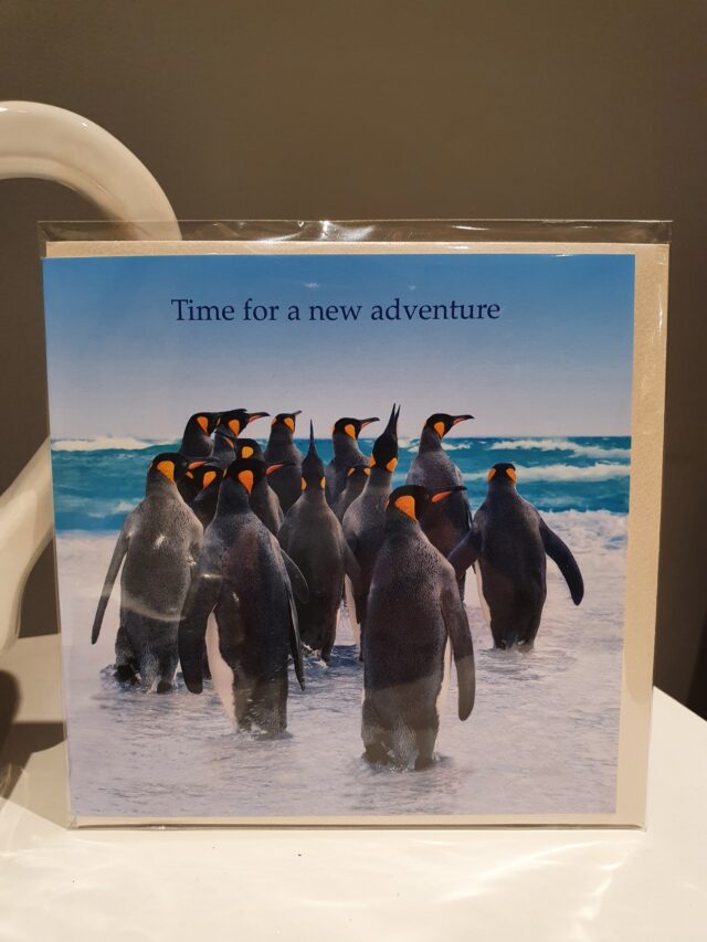 penguins adventure motivational greetings