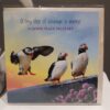 Puffins Motivational Cards