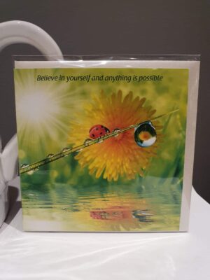 Believe ladybird motivational greetings card