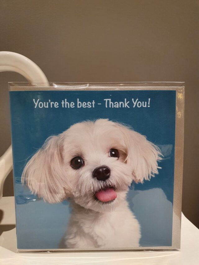 maltese thankyou card