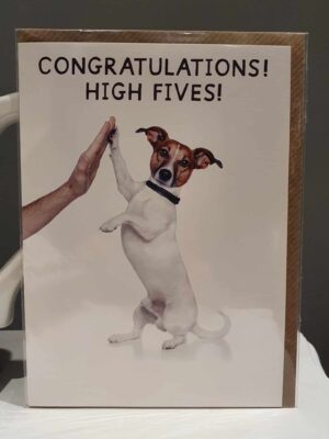 congratulations high fives jack russell greetings card