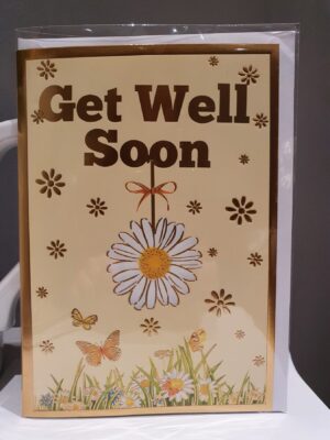 Get well soon daisy