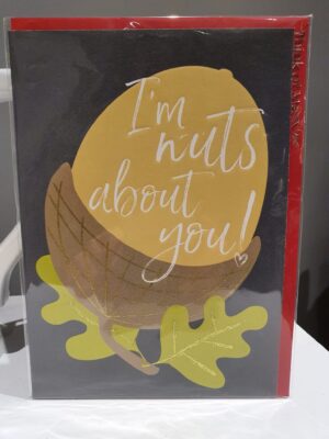 I'm nuts about you valentines day card