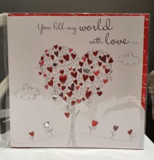 You fill my world with Love Valentines Day Card