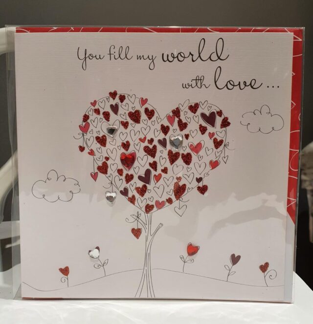 You fill my world with Love Valentines Day Card