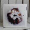 woodmansterne cat greetings cards