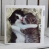 woodmansterne cattitude cat greetings cards