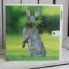 woodmansterne hare rabbit greetings card