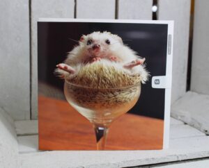 woodmansterne hedgehog greetings card