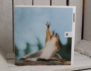 woodmansterne squirrel aerobics class greetings card