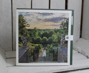 photographic card blank inside greetings card