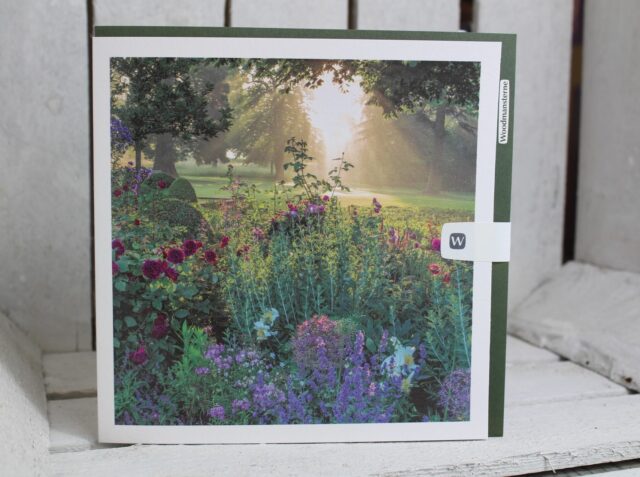 photographic greetings card blank inside